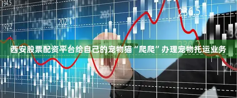 西安股票配资平台给自己的宠物猫“爬爬”办理宠物托运业务